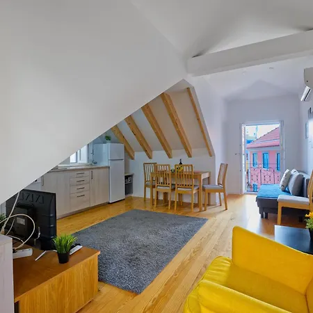 Stunning Loft In The Downtown Apartment *